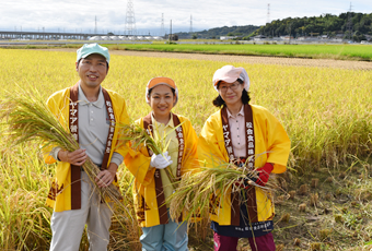 熊本県宇土市　水田