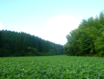 松合食品3つのこだわり